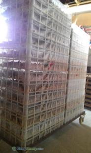 供應(yīng)河南鵪鶉苗批發(fā) 南昌林友鵪鶉養(yǎng)殖場(chǎng)供應(yīng)_農(nóng)副產(chǎn)品_世界工廠網(wǎng)中國(guó)產(chǎn)品信息庫(kù)